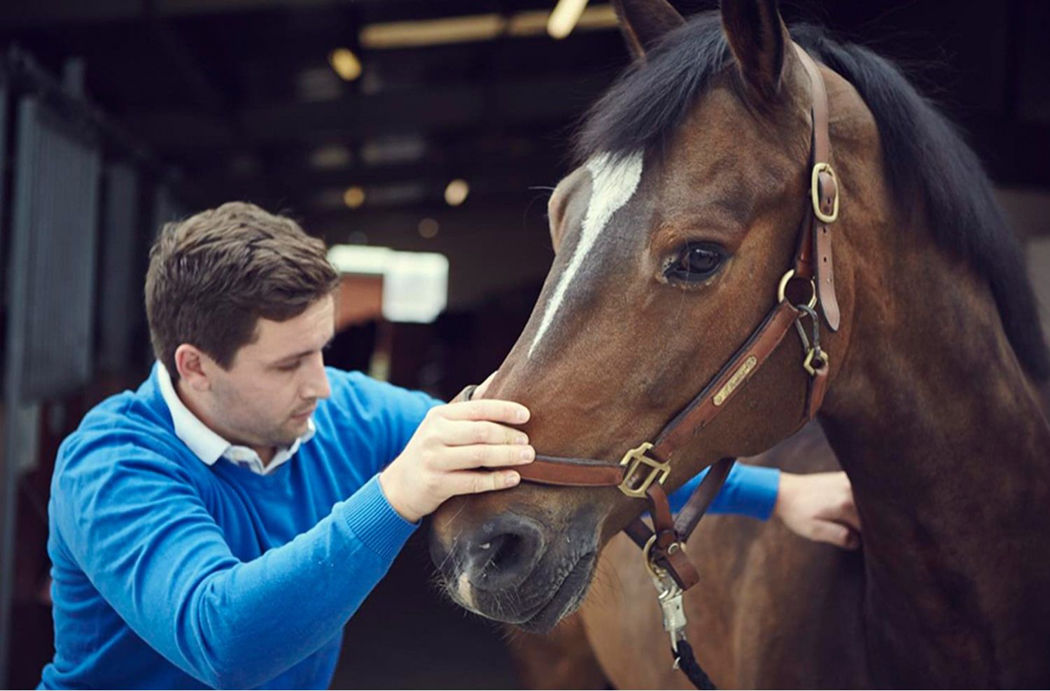 Pferdephysiotherapie-Danner-C-Itrone-Horse-Performance-Therapist-Christian-Jacky-Osteopathie-Physiotherapie-Pferd-Bad-Woerrishofen-Muenchen-Bayern-3 Pferdephysiotherapie-Danner