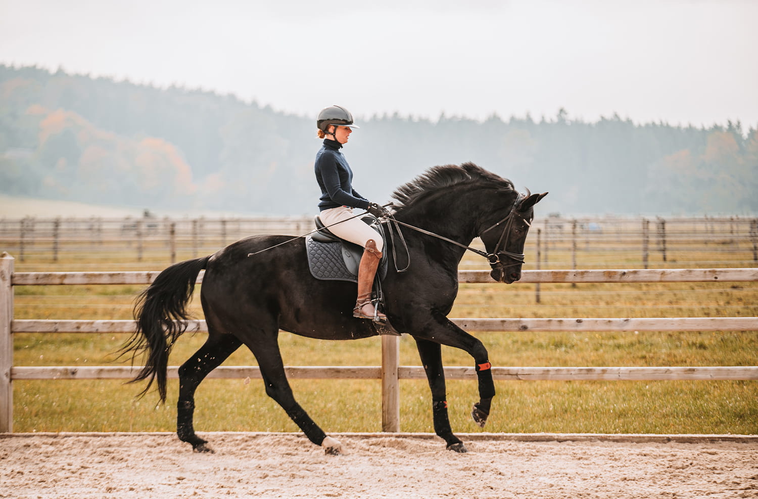Pferdephysiotherapie-Danner-C-Itrone-Horse-Performance-Therapist-Christian-Jacky-Pferdetraining-Reitunterricht-Training-Pferd-Bad-Woerrishofen-Muenchen-Bayern